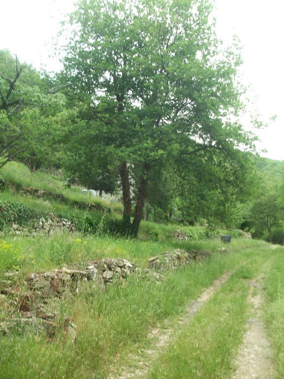 Piccolo Rifugio Nel Verde Chiusavecchia Kültér fotó