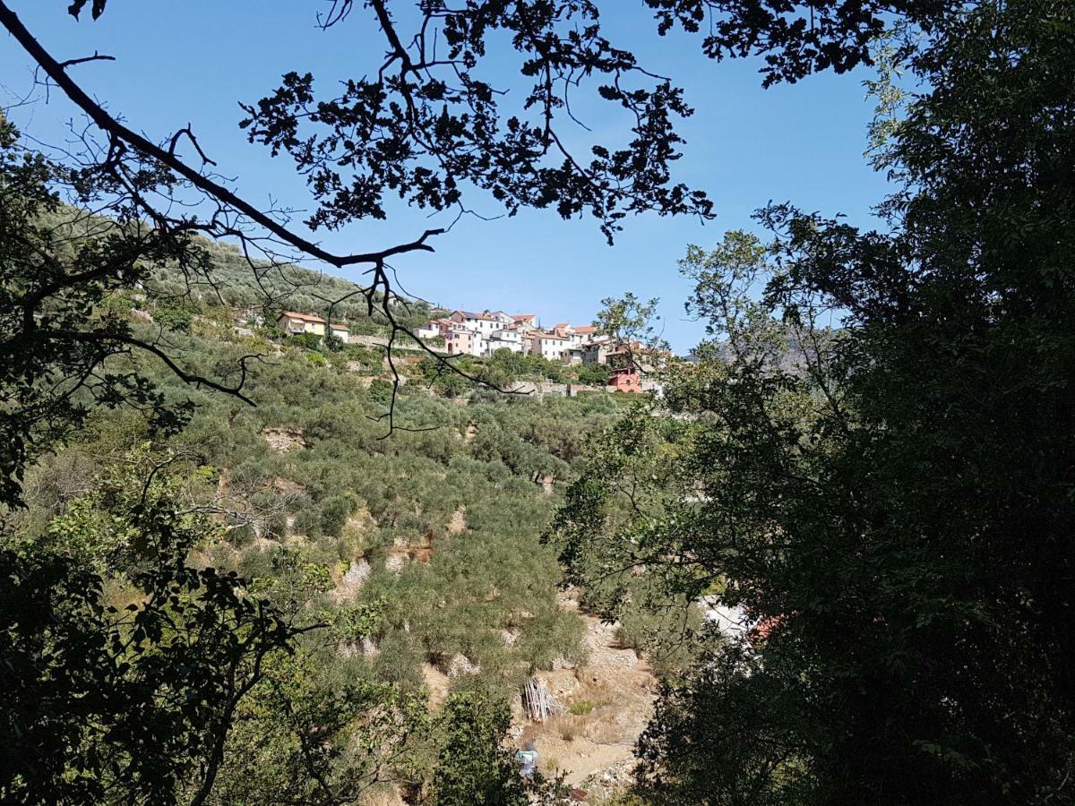 Piccolo Rifugio Nel Verde Chiusavecchia Kültér fotó
