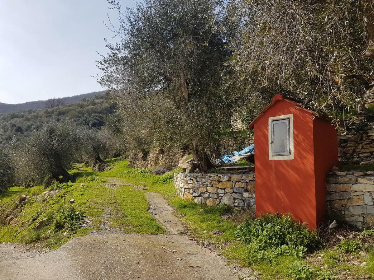 Piccolo Rifugio Nel Verde Chiusavecchia Kültér fotó
