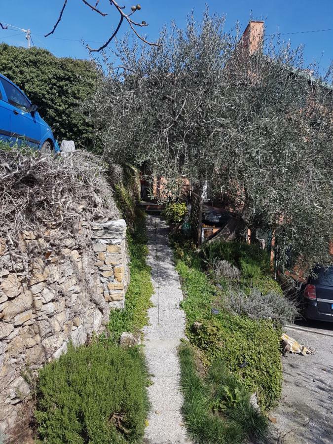 Piccolo Rifugio Nel Verde Chiusavecchia Kültér fotó